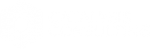 Catalysis Consulting